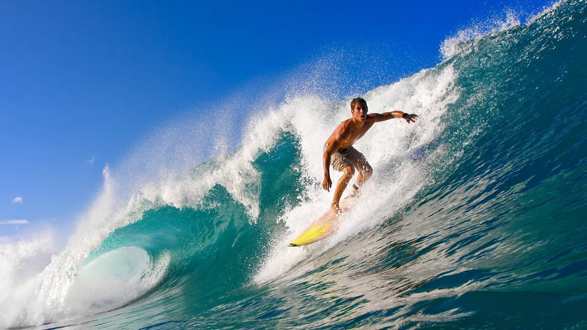 九游官网入口下载-“美洲狮队逆袭强敌，刷新橄榄球冠军赛历史”